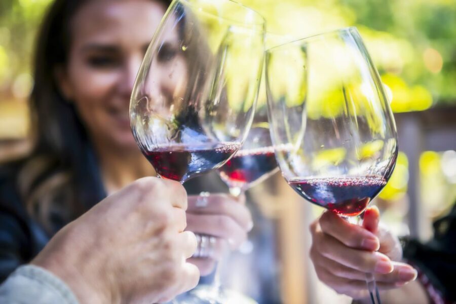 Napa Valley: Guided Wine Tour with Picnic Lunch - The Bottom Line: Is This Tour Right for You?