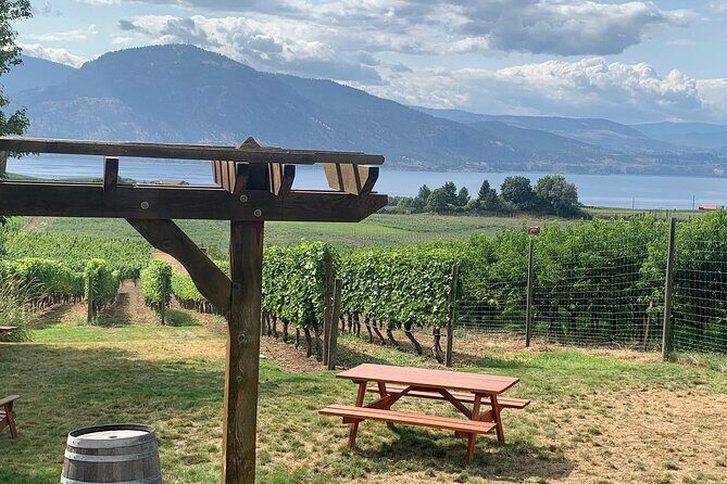 Naramata Full Day Lunch Wine Tour- Incl. Tasting Fees & Gratuity! - What Makes This Tour Stand Out?