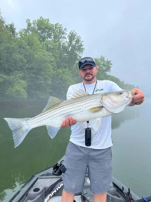 Nashville: Hybrid and Striped Bass Fishing Trip - Final Thoughts