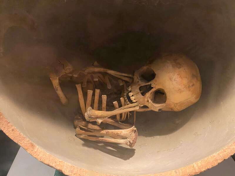 National Museum of Anthropology: a journey into Mexico's past-English lang. - The Itinerary: From Entrance to Enlightenment