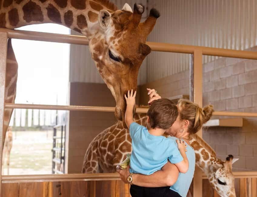 Natural Bridge Wildlife Ranch: Self-Guided Safari Drive-Thru - What Travelers Say