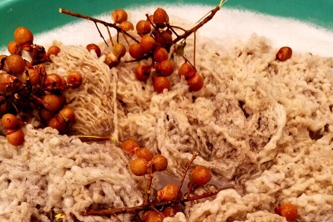 Natural Dyeing and Organic Weaving Workshop in Oaxaca - Who Should Book This Experience?