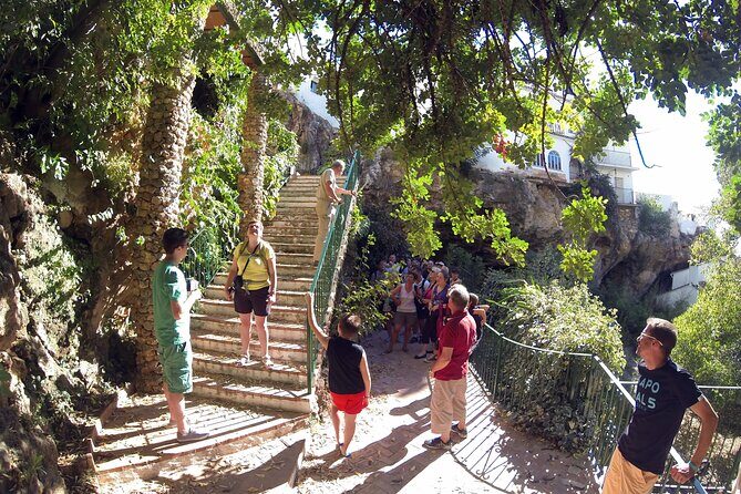 Natural Parck Jeep Eco Tour from Costa del Sol - Final Thoughts