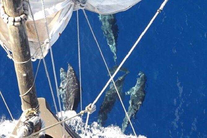 Nau Santa Maria - Who Will Enjoy This Tour?