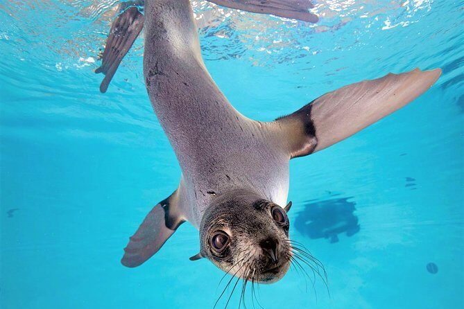 New England Aquarium Admission Ticket in Boston - Practical Tips for Visiting