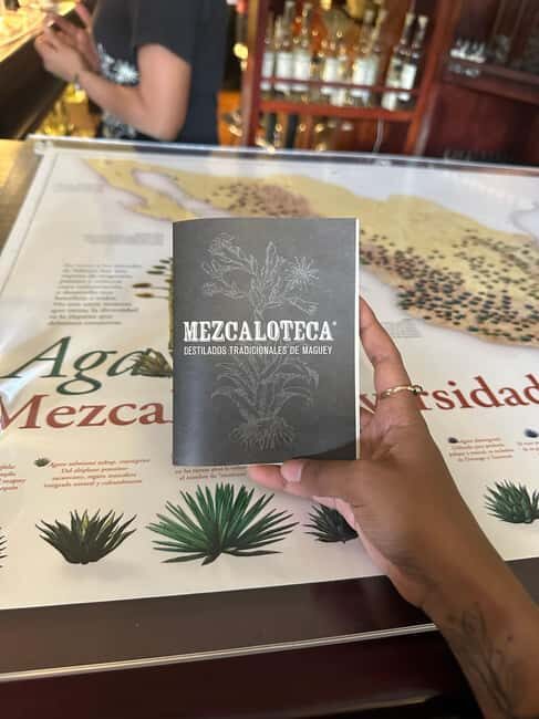 New Friends and Mezcal Tasting Deluxe in Oaxaca city! - The Value of this Mezcal Tour