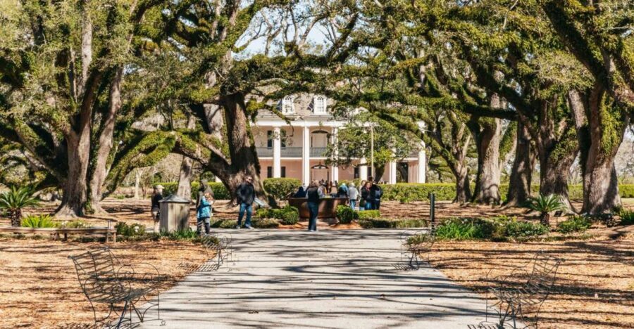 New Orleans: Oak Alley Plantation & Airboat Swamp Combo Tour - The Value of the Tour