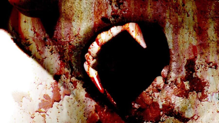 New Orleans: Vampires, Voodoo, and Ghosts Tour - Why This Tour Works