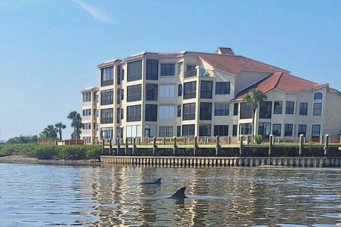 New Smyrna Mangrove Paddle & Mimosa Tour - Final Thoughts