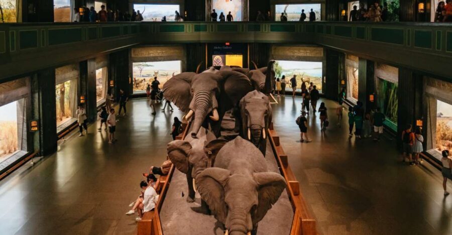 New York City: American Museum of Natural History Ticket - The New Gilder Center and Its Impact