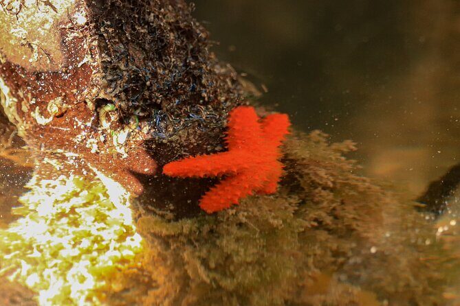 Nichupte Lagoon! Mangrove Kayaking Experience from Cancun - Final Thoughts