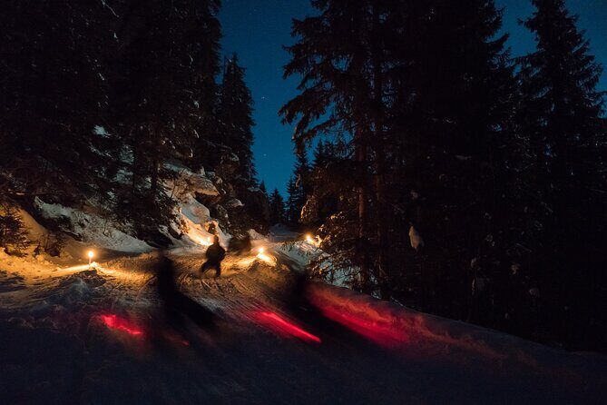 Night Sledding from Interlaken - The Value of Guided Night Sledding