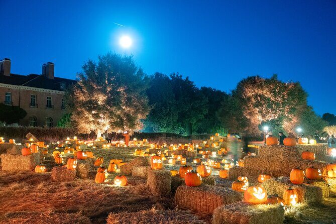 Nightfall - Practical Tips for Visitors