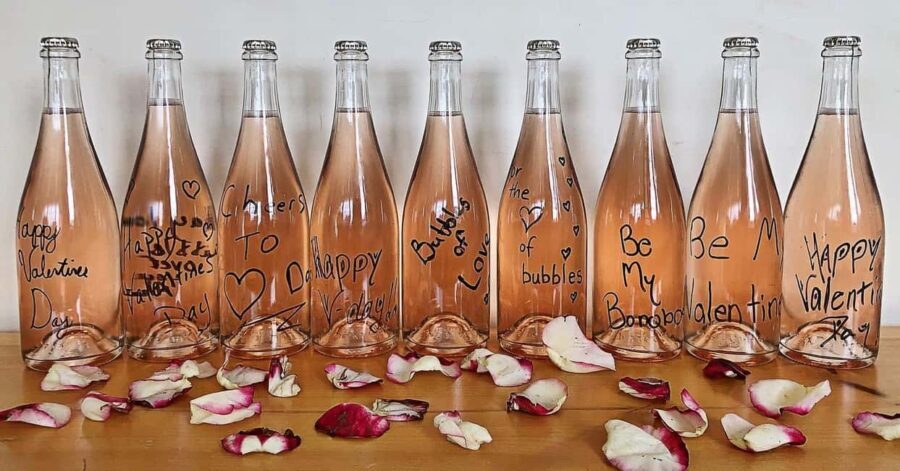 NON BUS Sunday Funday Traverse City Old Mission Wine Tour - An In-Depth Look at the Tour Experience