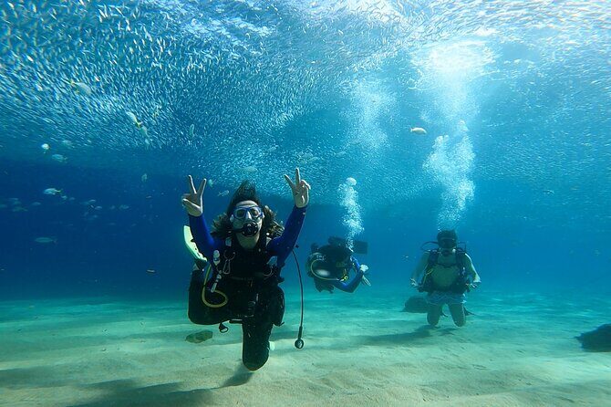 Non-Certified Diving Adventure in Cabo San Lucas - The Experience in Detail