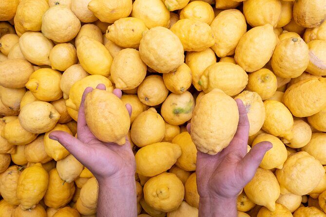 Nonno Mario Sorrento Lemon tour - From Tree to Table: The Laboratory Experience