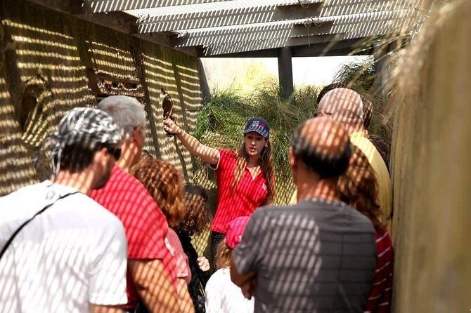 Normandy Battlefields Half Day Tour - Canadian World War II Sites - What You’ll Experience on the Tour