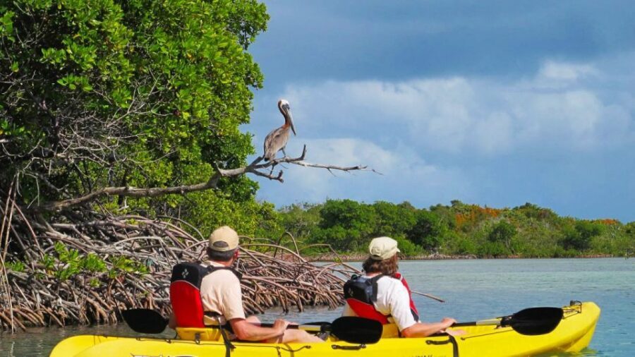 North Miami: Nature & Island Exploration on SUP/Kayak - What’s Included and Not
