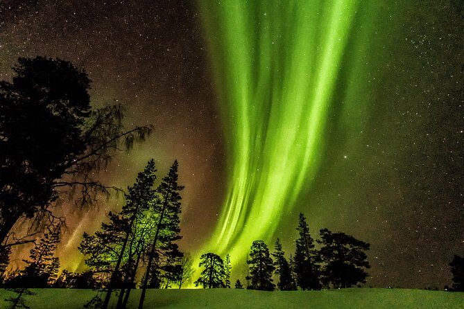 Northern Lights Aurora Tour from Kemi - Authentic Feedback and Real-Life Insights