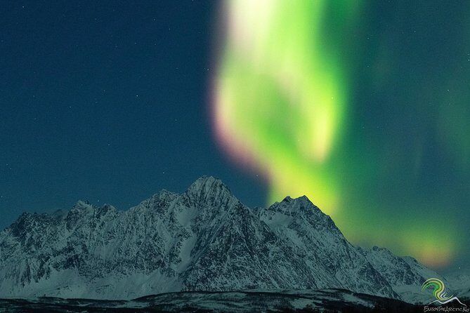 Northern Lights by Minibus. Photos Under the Lights included. Tromso - FAQs