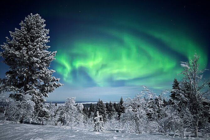 Northern Lights Holiday in Finland - Why This Tour Offers Great Value