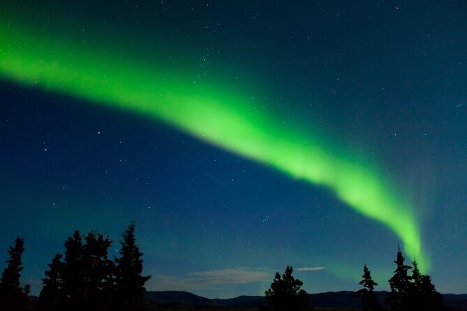 Northern Lights Hunting of Rovaniemi - Who Will Love This Tour?