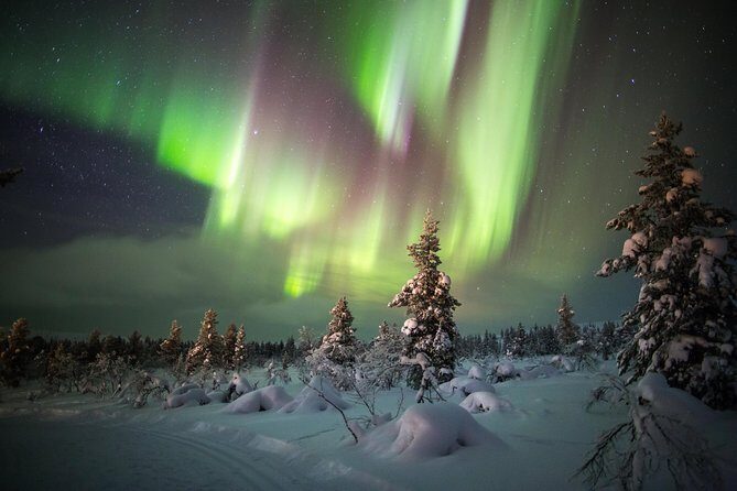 Northern Lights Hunting with Snowmobiles - What Reviewers Say