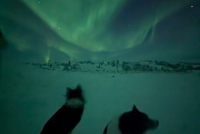 Northern Lights Minibus Chase Max 16 Person In Group - Introduction to the Tour