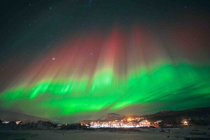 Northern Lights Tour with small group of 8 people - Who Should Book This Tour?