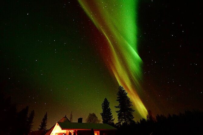 Northern Lights Trip to a Magical Place in Lapland - What Travelers Are Saying