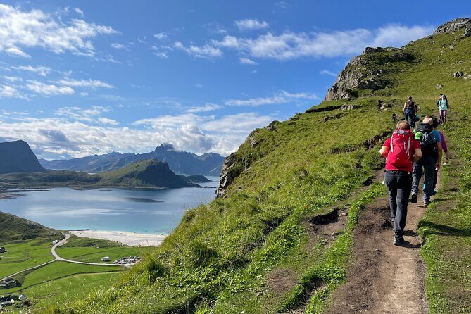 Norway Lofoten Private Shore Excursion from Leknes - Authentic Experiences and Authenticity