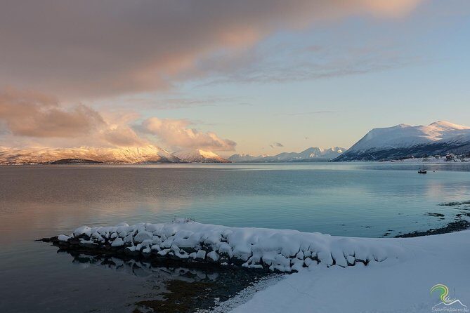 Norwegian Fjords Tour, Including Professional Photos in Tromso - In-Depth Look at the Itinerary