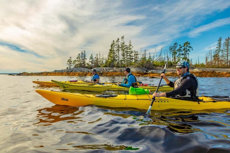 Nova Scotia: Guided Half-Day LaHave Islands Sea Kayak Tour - Practical Details & What to Bring