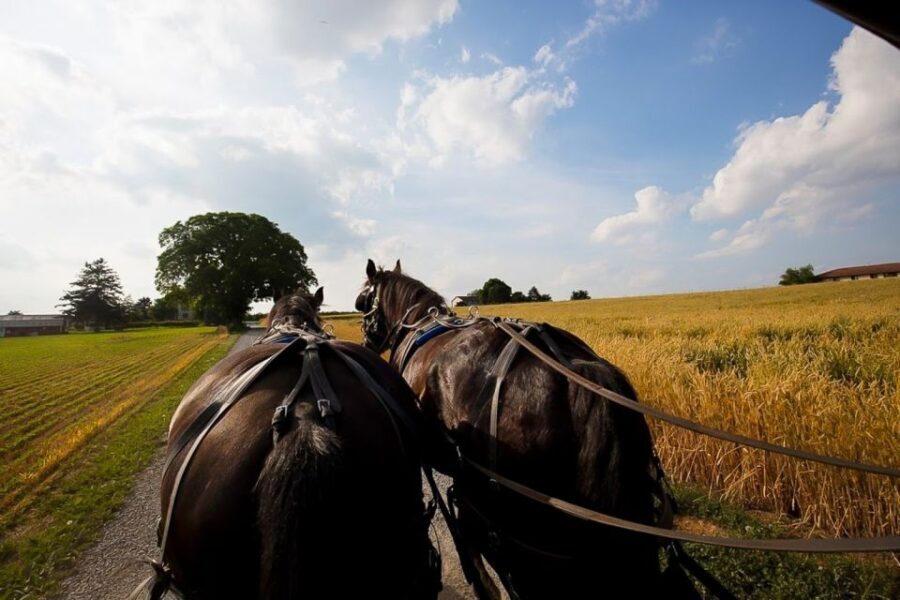 NYC: Philadelphia, Washington DC & Amish Country 2-Day Tour - Transportation and Logistics