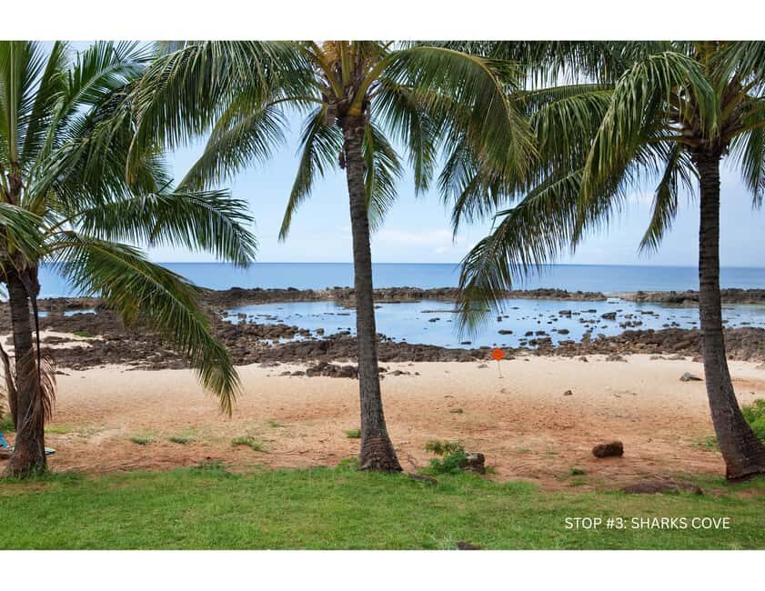 Oahu: Explore North Shore by E-Bike & Snorkel (Self-Guided) - Who Is This Tour Best For?