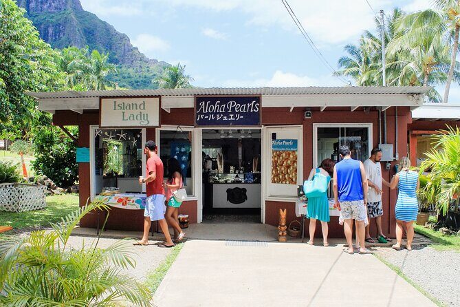 Oahu Highlights Private Tour: Nature, Views & Turtles in 6 Hours - Who Is This Tour Best For?