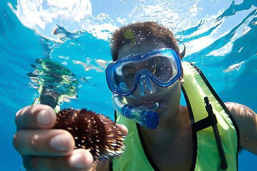 Oahu: Hilton Hawaiian Village Snorkel Tour - The Itinerary in Detail