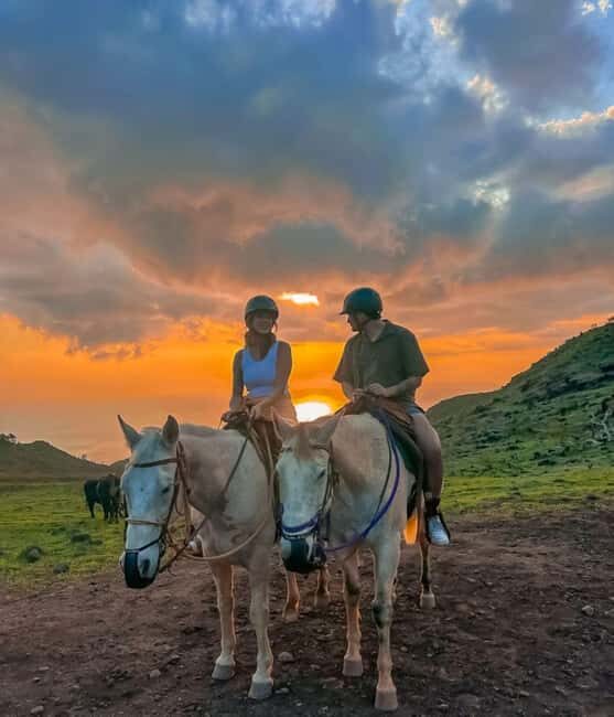 Oahu: Horseback Riding Sunshine or Sunset Tour - The Horses and the Ride