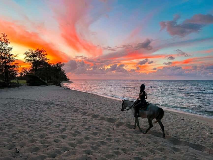 Oahu: Horseback Riding Tour on the North Shore - The Value of the Tour: Price and What’s Included