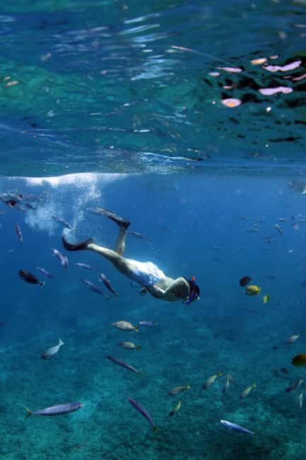 Oahu: Off road Stand-Up ATV and Sunset Snorkel Cruise - The Snorkeling Experience