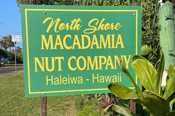 Oahu Private Tour North Shore, Waimea Falls and Dole Plantation - The Itinerary: A Deep Dive into Each Stop