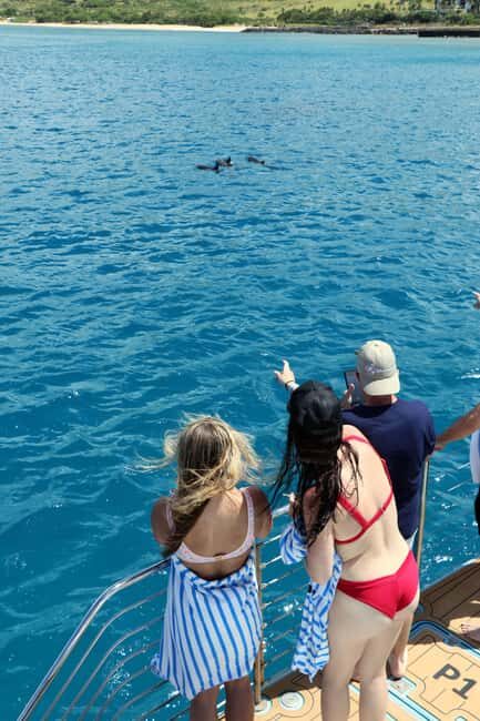 Oahu: Snorkeling & Dolphin Watch Cruise w/ Luau Style Buffet - Marine Wildlife Encounters: Dolphins, Turtles, and More