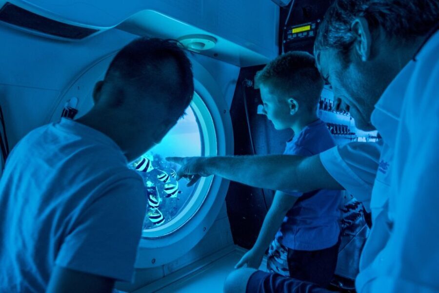 Oahu: Waikiki Submarine Tour - Who Should Consider This Tour?