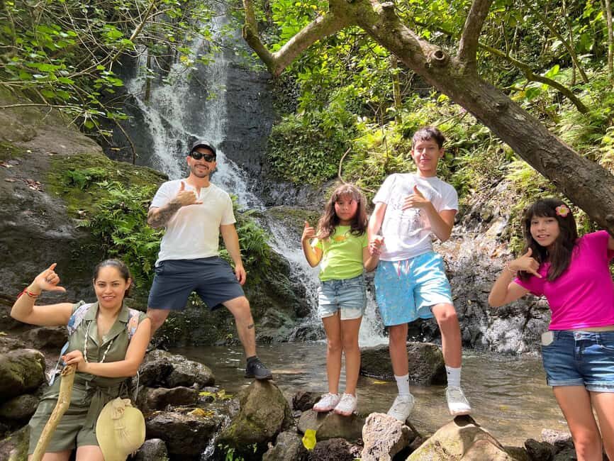 Oahu: Waterfall Hike via Scenic South Shore Drive - Why This Tour Works Well