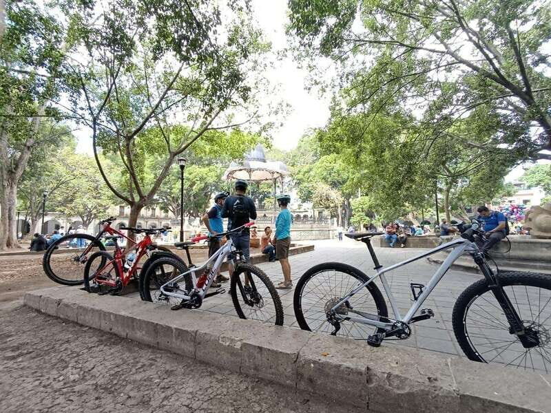 Oaxaca City: Bike Tour with Professional Guide+Art workshop - What Makes This Tour Stand Out