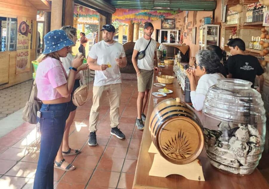 Oaxaca: El Tule, Mitla, and Hierve el Agua Tour with Mezcal - What Makes This Tour Stand Out?