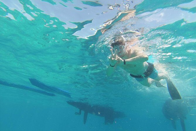 OBY Catamaran - Why This Tour Stands Out