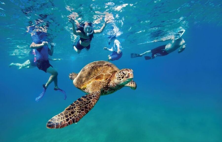 Ocean Reef Snorkeling and Paddleboarding - The Guide and Group Atmosphere