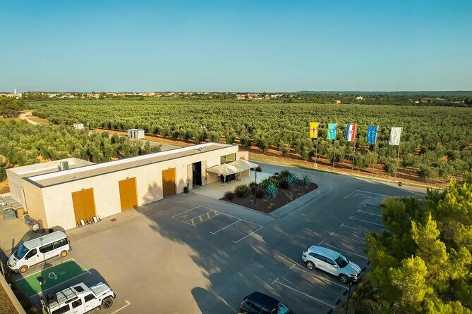 Olive Oil Tasting and Sunset Buggy Tour with Your Local Guide - The Value of the Experience