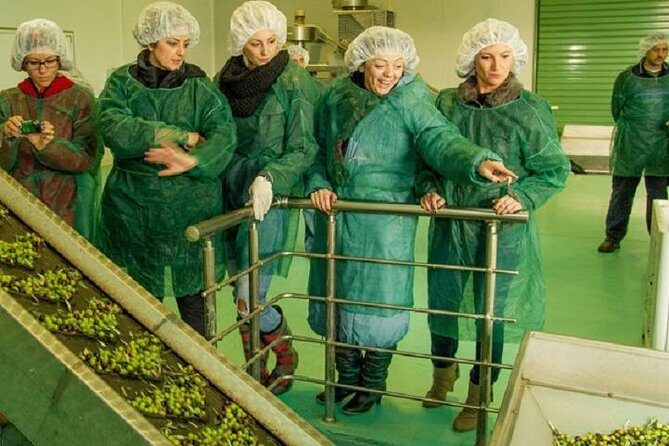 Olive Oil Tour close to Nafplio - Practical Details: What You Need to Know